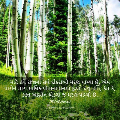 Picture 03 - 2 શમુએલ 13:33 GUJIRV - માટે હવે રાજાના - Bible Verse Picture