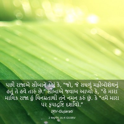 Picture 03 - 2 શમુએલ 16:4 GUJIRV - પછી રાજાએ સીબાને - Bible Verse Picture