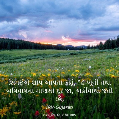 Picture 03 - 2 શમુએલ 16:7 GUJIRV - શિમઈએ શાપ આપતા - Bible Verse Picture