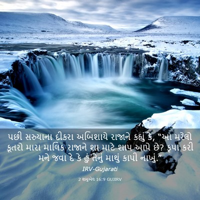 Picture 03 - 2 શમુએલ 16:9 GUJIRV - પછી સરુયાના દીકરા - Bible Verse Picture