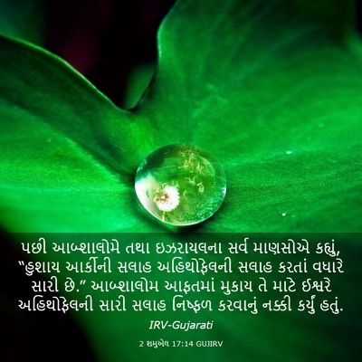 Picture 03 - 2 શમુએલ 17:14 GUJIRV - પછી આબ્શાલોમે તથા - Bible Verse Picture