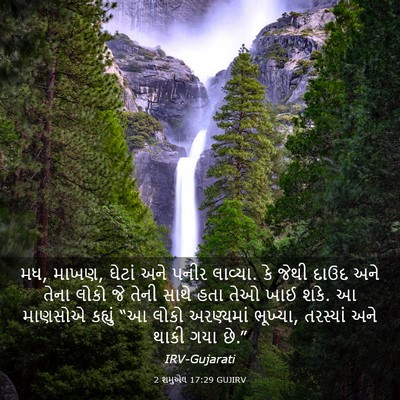 Picture 03 - 2 શમુએલ 17:29 GUJIRV - મધ, માખણ, ઘેટાં અને - Bible Verse Picture