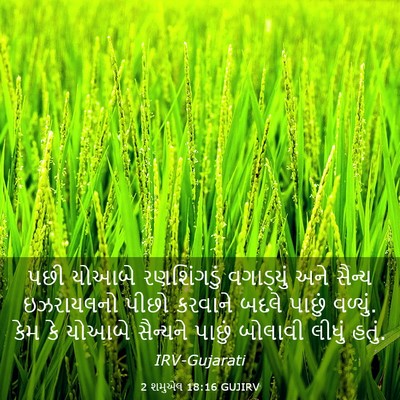 Picture 03 - 2 શમુએલ 18:16 GUJIRV - પછી યોઆબે - Bible Verse Picture
