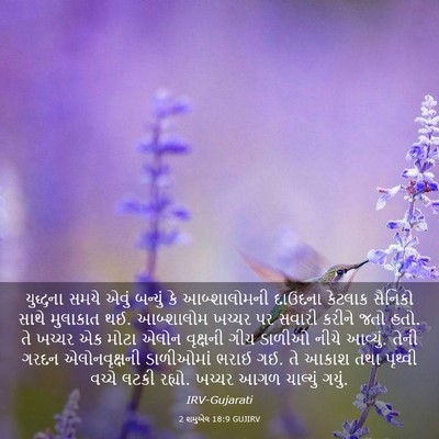 Picture 03 - 2 શમુએલ 18:9 GUJIRV - યુદ્ધના સમયે એવું - Bible Verse Picture
