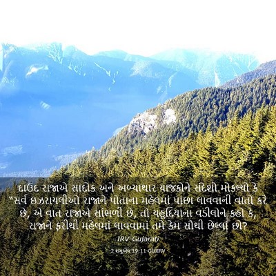 Picture 03 - 2 શમુએલ 19:11 GUJIRV - દાઉદ રાજાએ સાદોક - Bible Verse Picture
