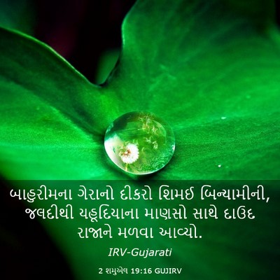 Picture 03 - 2 શમુએલ 19:16 GUJIRV - બાહુરીમના ગેરાનો - Bible Verse Picture