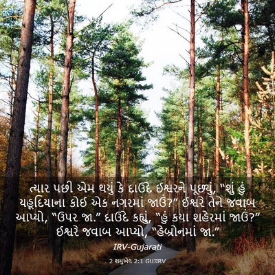 Picture 03 - 2 શમુએલ 2:1 GUJIRV - ત્યાર પછી એમ થયું - Bible Verse Picture