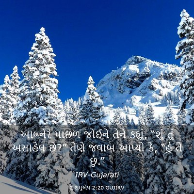Picture 03 - 2 શમુએલ 2:20 GUJIRV - આબ્નેરે પાછળ - Bible Verse Picture