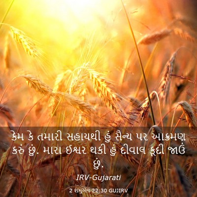 Picture 03 - 2 શમુએલ 22:30 GUJIRV - કેમ કે તમારી - Bible Verse Picture