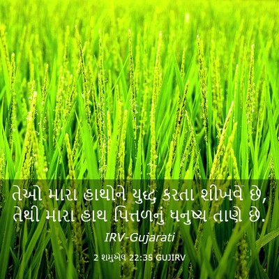 Picture 03 - 2 શમુએલ 22:35 GUJIRV - તેઓ મારા હાથોને - Bible Verse Picture