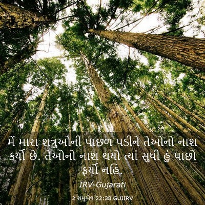 Picture 03 - 2 શમુએલ 22:38 GUJIRV - મેં મારા શત્રુઓની - Bible Verse Picture
