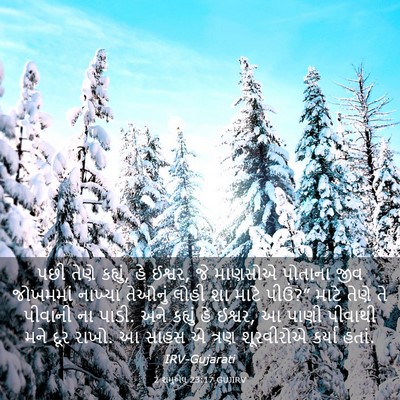 Picture 03 - 2 શમુએલ 23:17 GUJIRV - પછી તેણે કહ્યું, હે - Bible Verse Picture