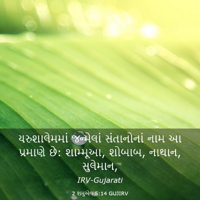 Picture 03 - 2 શમુએલ 5:14 GUJIRV - યરુશાલેમમાં - Bible Verse Picture