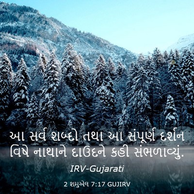 Picture 03 - 2 શમુએલ 7:17 GUJIRV - આ સર્વ શબ્દો તથા આ - Bible Verse Picture