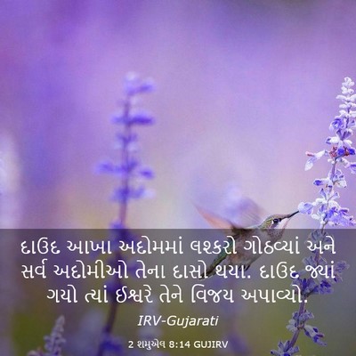 Picture 03 - 2 શમુએલ 8:14 GUJIRV - દાઉદ આખા અદોમમાં - Bible Verse Picture