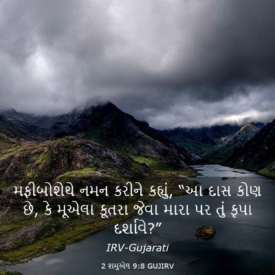 Picture 03 - 2 શમુએલ 9:8 GUJIRV - મફીબોશેથે નમન - Bible Verse Picture