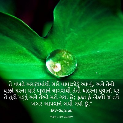 Picture 03 - અયૂબ 1:19 GUJIRV - તે વખતે - Bible Verse Picture