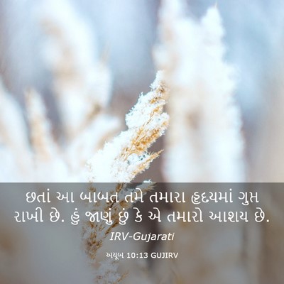 Picture 03 - અયૂબ 10:13 GUJIRV - છતાં આ બાબત તમે - Bible Verse Picture