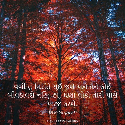 Picture 03 - અયૂબ 11:19 GUJIRV - વળી તું નિરાંતે - Bible Verse Picture