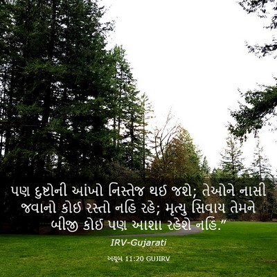 Picture 03 - અયૂબ 11:20 GUJIRV - પણ દુષ્ટોની આંખો - Bible Verse Picture