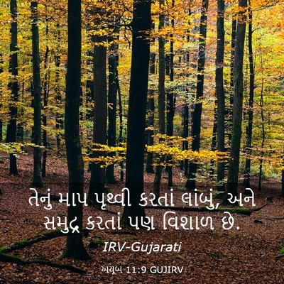 Picture 03 - અયૂબ 11:9 GUJIRV - તેનું માપ પૃથ્વી - Bible Verse Picture