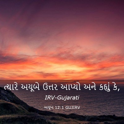 Picture 03 - અયૂબ 12:1 GUJIRV - ત્યારે અયૂબે - Bible Verse Picture