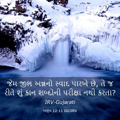 Picture 03 - અયૂબ 12:11 GUJIRV - જેમ જીભ અન્નનો - Bible Verse Picture