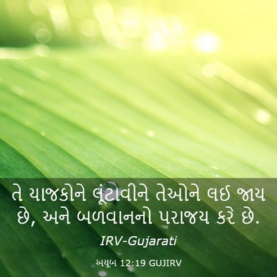 Picture 03 - અયૂબ 12:19 GUJIRV - તે યાજકોને - Bible Verse Picture