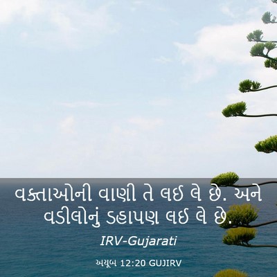 Picture 03 - અયૂબ 12:20 GUJIRV - વક્તાઓની વાણી તે - Bible Verse Picture