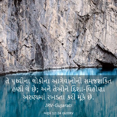 Picture 03 - અયૂબ 12:24 GUJIRV - તે પૃથ્વીના - Bible Verse Picture