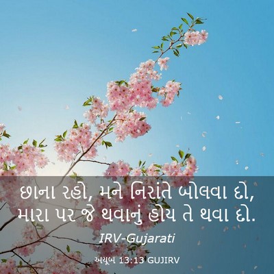 Picture 03 - અયૂબ 13:13 GUJIRV - છાના રહો, મને - Bible Verse Picture