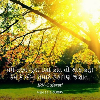 Picture 03 - અયૂબ 13:5 GUJIRV - તમે તદ્દન મૂંગા - Bible Verse Picture