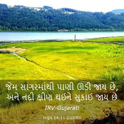 Picture 03 - અયૂબ 14:11 GUJIRV - જેમ સાગરમાંથી - Bible Verse Picture