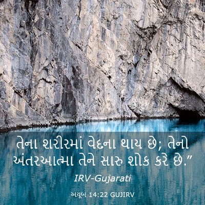 Picture 03 - અયૂબ 14:22 GUJIRV - તેના શરીરમાં - Bible Verse Picture
