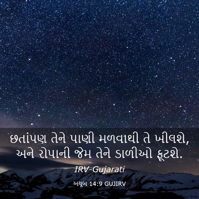 Picture 03 - અયૂબ 14:9 GUJIRV - છતાંપણ તેને પાણી - Bible Verse Picture