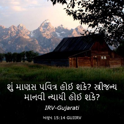 Picture 03 - અયૂબ 15:14 GUJIRV - શું માણસ પવિત્ર - Bible Verse Picture