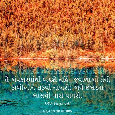 Picture 03 - અયૂબ 15:30 GUJIRV - તે અંધકારમાંથી - Bible Verse Picture