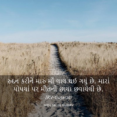Picture 03 - અયૂબ 16:16 GUJIRV - રુદન કરીને મારું - Bible Verse Picture