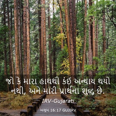 Picture 03 - અયૂબ 16:17 GUJIRV - જો કે મારા હાથથી - Bible Verse Picture