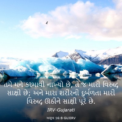 Picture 03 - અયૂબ 16:8 GUJIRV - તમે મને કરમાવી - Bible Verse Picture