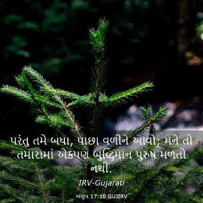 Picture 03 - અયૂબ 17:10 GUJIRV - પરંતુ તમે બધા, પાછા - Bible Verse Picture