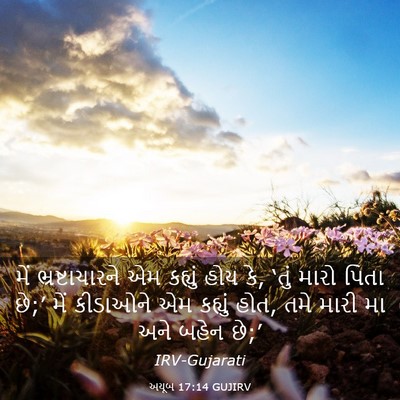 Picture 03 - અયૂબ 17:14 GUJIRV - મેં ભ્રષ્ટાચારને - Bible Verse Picture