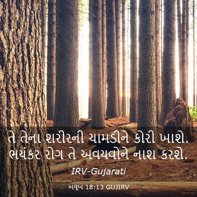 Picture 03 - અયૂબ 18:13 GUJIRV - તે તેના શરીરની - Bible Verse Picture