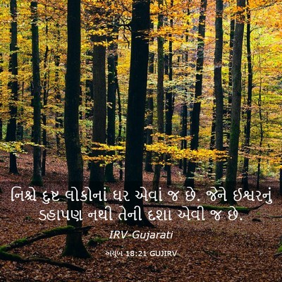 Picture 03 - અયૂબ 18:21 GUJIRV - નિશ્ચે દુષ્ટ - Bible Verse Picture