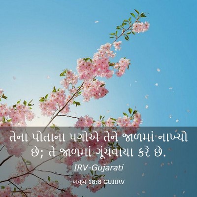 Picture 03 - અયૂબ 18:8 GUJIRV - તેના પોતાના પગોએ - Bible Verse Picture