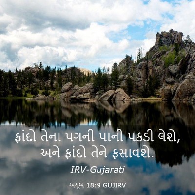 Picture 03 - અયૂબ 18:9 GUJIRV - ફાંદો તેના પગની - Bible Verse Picture