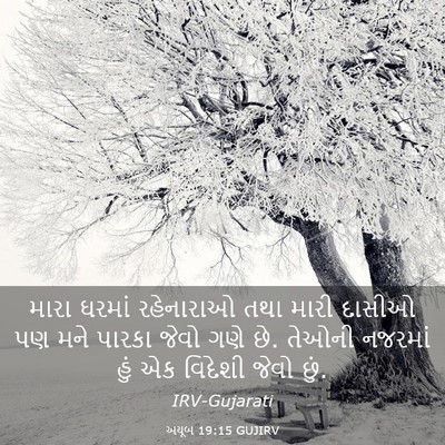 Picture 03 - અયૂબ 19:15 GUJIRV - મારા ઘરમાં - Bible Verse Picture