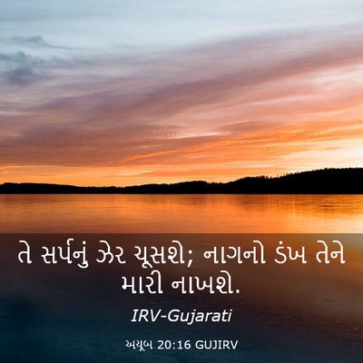 Picture 03 - અયૂબ 20:16 GUJIRV - તે સર્પનું ઝેર - Bible Verse Picture