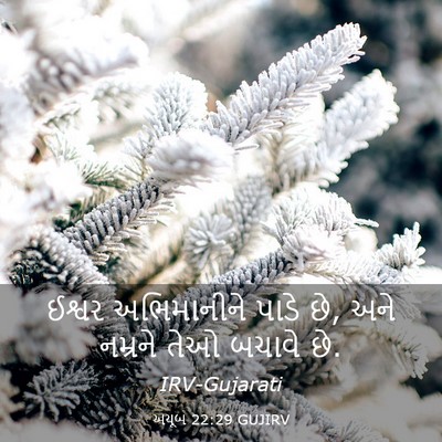 Picture 03 - અયૂબ 22:29 GUJIRV - ઈશ્વર અભિમાનીને - Bible Verse Picture