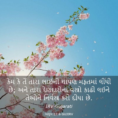 Picture 03 - અયૂબ 22:6 GUJIRV - કેમ કે તેં તારા - Bible Verse Picture
